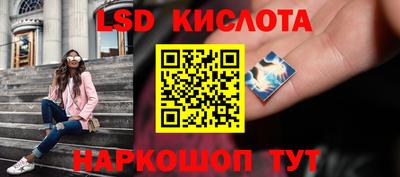 прущие грибы Камышлов