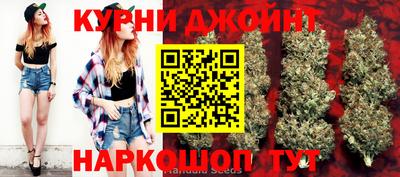 прущие грибы Камышлов