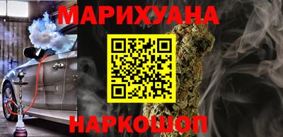 прущие грибы Камышлов