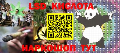 прущие грибы Камышлов