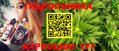 прущие грибы Камышлов