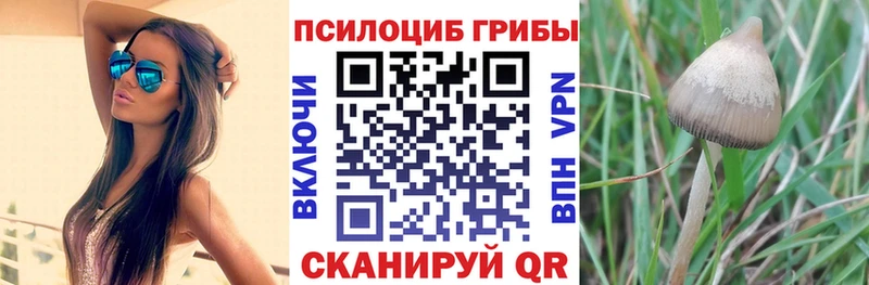 Галлюциногенные грибы GOLDEN TEACHER Лангепас