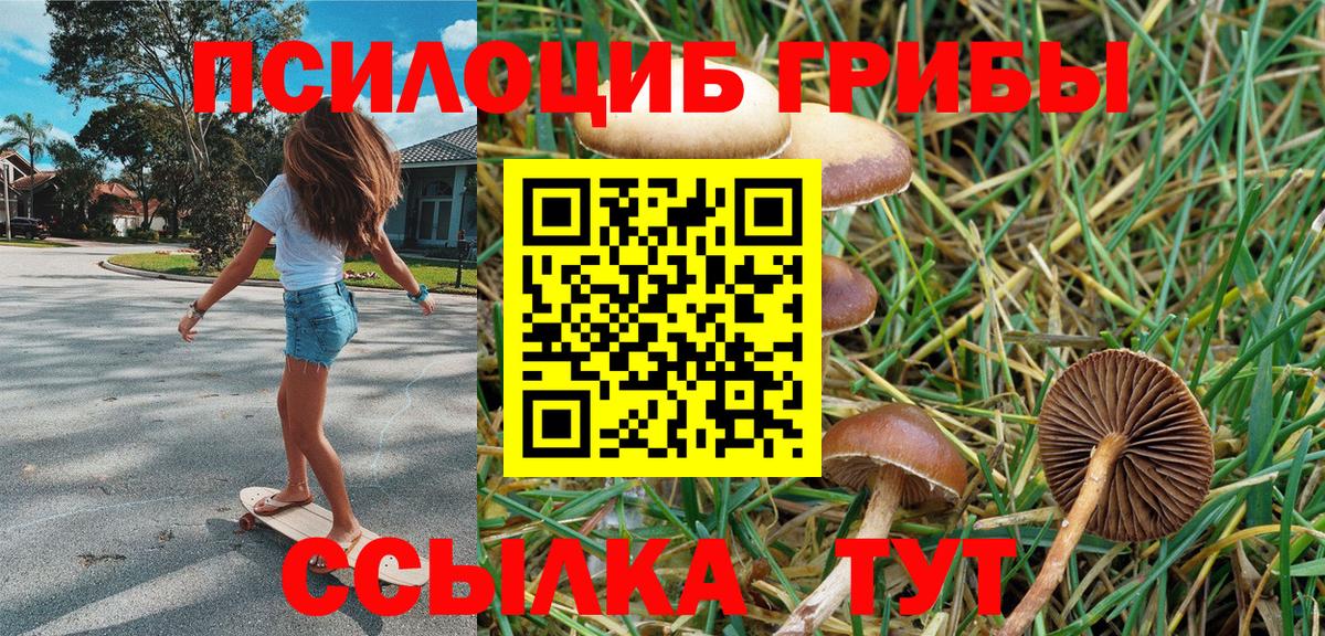 Псилоцибиновые грибы Psilocybine cubensis Лангепас